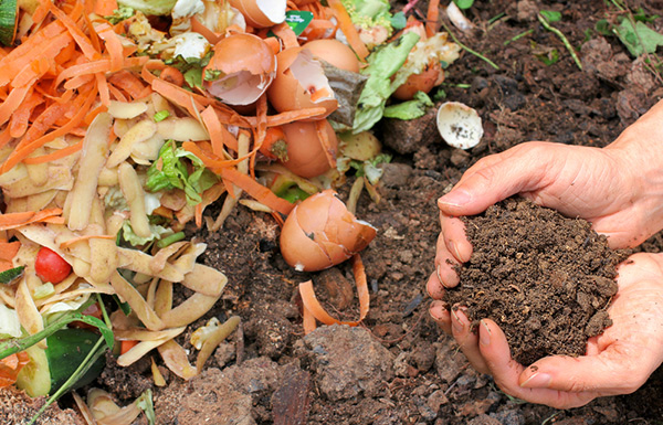 Why and how to start composting