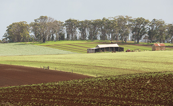 Let's make farming the new rock 'n' roll