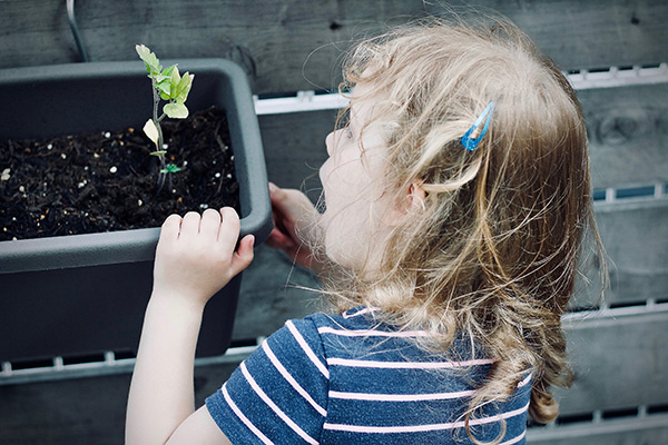 Five tips to get kids into gardening and healthy eating