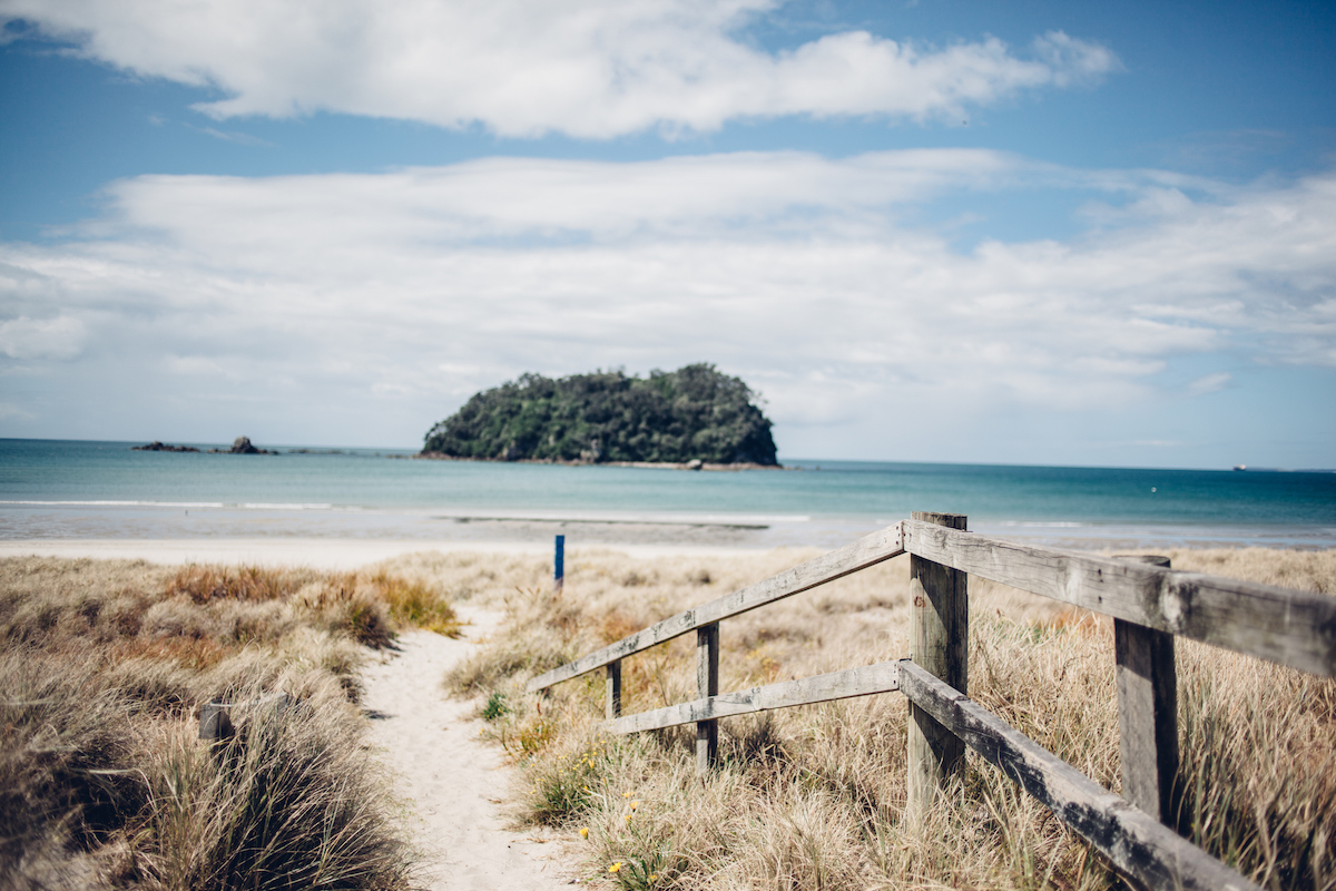 Take care of the beach this summer