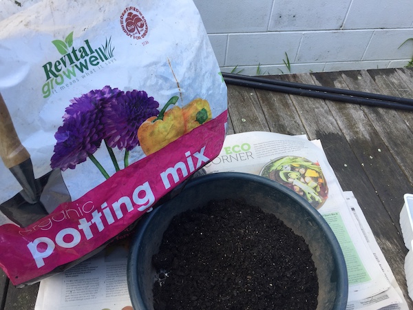 Potting mix